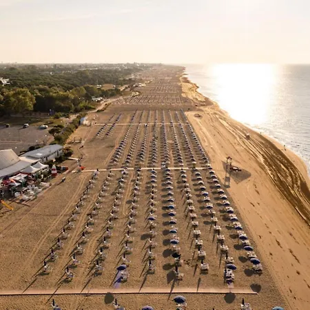 New Vibrant In * Bibione