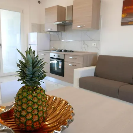 New Vibrant In 비비오네