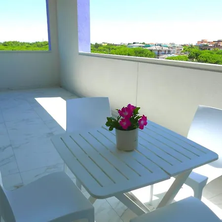 New Vibrant In 비비오네