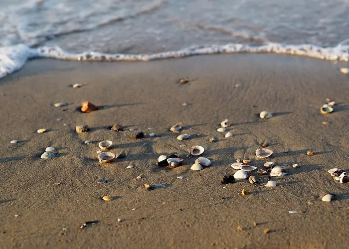 New Vibrant In * ビビオーネ