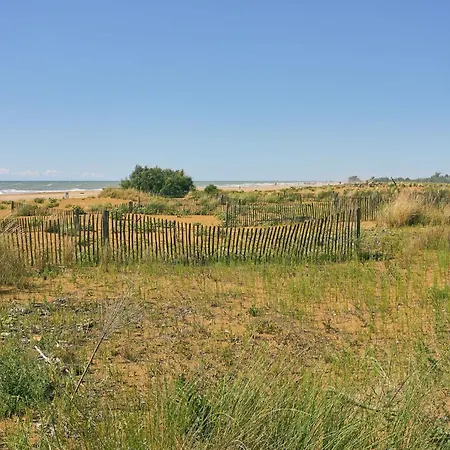 Apartment New Vibrant In *