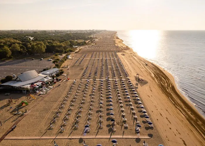 New Vibrant In * Bibione